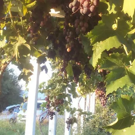 синя луна Gasthof 4*