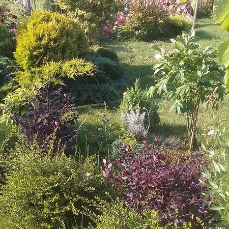 Gasthof синя луна 4*