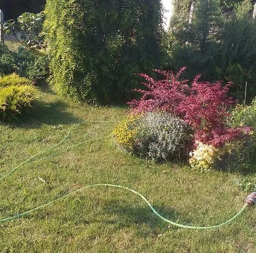 синя луна Penzion Lozenec