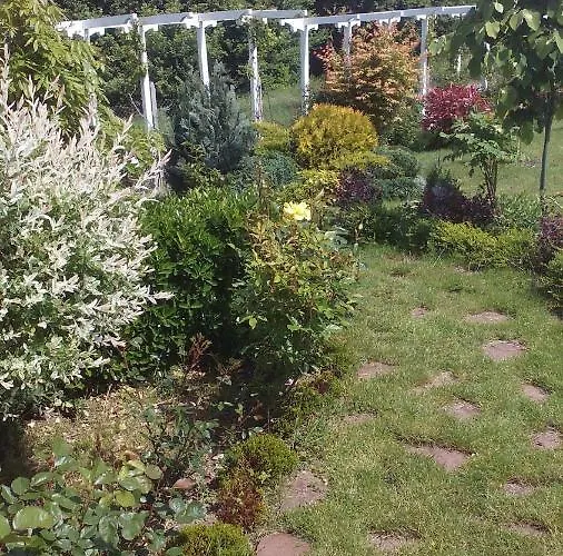 синя луна Lozenec