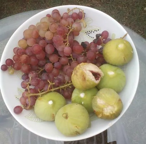 синя луна 4* Lozenec