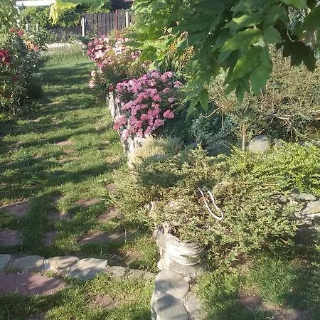 синя луна Pensionat Lozenets