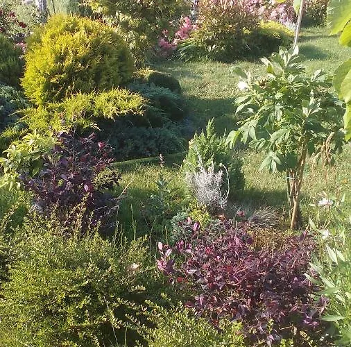 게스트하우스 синя луна 4*