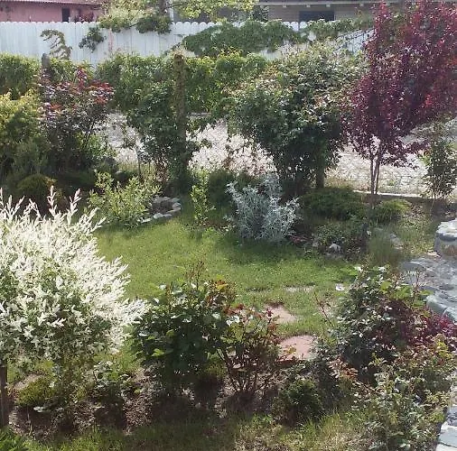 게스트하우스 синя луна 4*